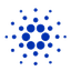icon-svg